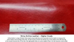 Shiny-Aniline-Leather